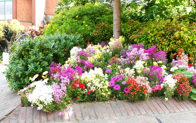 20130515_flowerterrace.JPG