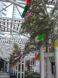 20130704_tanabata3.jpgのサムネール画像