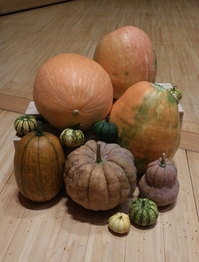 20130921_pumpkin.jpg