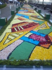 infiorata2012.JPG