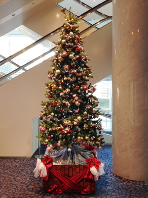 131218_Christmas tree.JPG